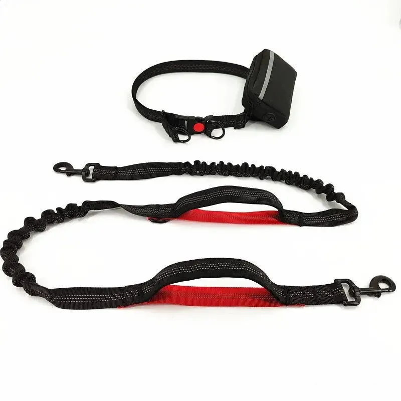 Training Dog Leash - Training Dog to Walk on a Leash